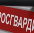 В тульской больнице росгвардейцы задержали дебошира - Комсомольская Правда