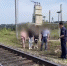 Подростков задержали по делу о диверсии на железной дороге в Тульской области - Центр 71