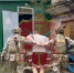 Обманывавших родственников военных мошенников задержали в Киреевске Тульской области - Комсомольская Правда
