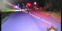 Под Богородицком водитель влетел в дерево и погиб на месте - ТК Первый Тульский
