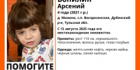 В Тульской области разыскивают 4-летнего мальчика - ТК Первый Тульский