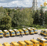 Тульские школы получили 61 новый автобус - ИА Тульская служба новостей