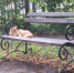 Тулякам представили прогноз погоды на 15 августа - Молодой коммунар