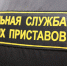 Тульские приставы составили портрет должника по алиментам - Myslo.Ru