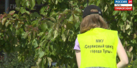 За полгода в Тульской области удалось временно трудоустроить 6000 подростков - ГТРК