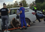 В тройном ДТП на трассе М-2 "Крым" под Плавском пострадали четыре человека