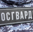 Росгвардейцы 180 раз за неделю выезжали по сигналу «тревога» в Тульской области - ИА Тульская служба новостей