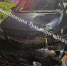 Водитель Opel сбил трех подростков-питбайкеров в Узловском районе Тульской области - Центр 71