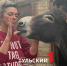 Жительница Венёва спасает животных с бойни - ТК Первый Тульский