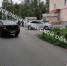 В тульском Заречье 12-летний школьник на велосипеде попал под машину - ИА Тульская пресса.Ru
