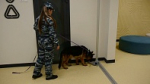 В образовательных организациях Тульской области прошли Всероссийские антитеррористические учения