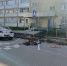 В Тульской области автоледи протаранила шесть автомобилей - ИА Тульская служба новостей