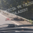 Под Богородицком лось попал под колеса машины - ТК Первый Тульский