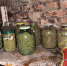 В Новомосковске двое мужчин устроили в бывшем совхозе наркоплантацию  - Myslo.Ru