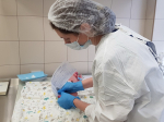 Более 5500 новорожденных туляков прошли обследование в рамках расширенного неонатального скрининга с начала года