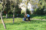 Сколько туляков приняли участие в городском субботнике