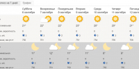 Снимок экрана 2025-09-06 212211.png - Myslo.Ru