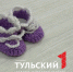 Тулякам рассказали, как устроен кабинет социального помощника и кому он нужен - ТК Первый Тульский