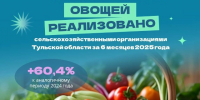 Тульские аграрии собрали рекордный урожай овощей за полгода - ТК Первый Тульский