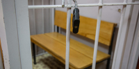 В Новомосковске мужчина украл алюминиевую лестницу - ТК Первый Тульский