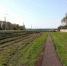 У трассы "Богородицк–Товарковский–Куркино" появилась новая пешеходная зона - ТК Первый Тульский