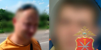 Кража строительной лестницы из торгового центра раскрыта в Новомосковске Тульской области - Комсомольская Правда
