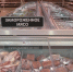Россельхознадзор предупредил новомосковскую компанию о хранении продукции с неизвестным происхождением - Комсомольская Правда