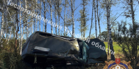 «Бесправную» автоледи остановило дерево в Заокском районе - Молодой коммунар