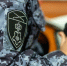 Тульские росгвардейцы выезжали по «тревоге» более 200 раз за неделю - ИА Тульская пресса.Ru