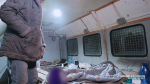В цыганском таборе под Веневом нашли пропавшего курянина