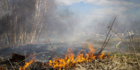В Тульской области 18 сентября сохранится высокая степень пожароопасности - Myslo.Ru