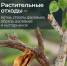 ООО «МСК-НТ»: растительным отходам не место на контейнерной площадке - ИА Тульская пресса.Ru