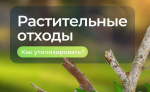 ООО «МСК-НТ»: растительным отходам не место на контейнерной площадке