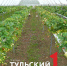 Изнанка ягодного бизнеса: почему тульская ягода дороже импортной - ТК Первый Тульский