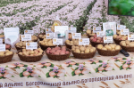 Первый окружной молодежный сельскохозяйственный форум «АГРОПРОдвижение» собрал в Тульской области 800 молодых специалистов из более 40 регионов страны