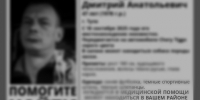 Пропавший туляк с хаски найден погибшим - ИА Тульская служба новостей