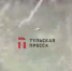 В Упе у деревни Маслово косяками гибнет рыба - туляк прислал видео - ИА Тульская пресса.Ru