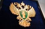 На Всехсвятском кладбище в Туле навели порядок по требованию прокуратуры