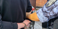 Дебошира задержали на красноармейском проспекте в Туле - ИА Тульская пресса.Ru