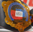 В Туле состоялось открытие турнира по MMA памяти Романа Стащенко - ИА Тульская пресса.Ru