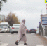 Какие законы вступают в силу в октябре - Myslo.Ru