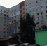 В запертой квартире в Заречье от голода умерли овчарки со щенками - Myslo.Ru