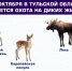 1 октября в Тульской области стартовал сезон охоты - ТК Первый Тульский