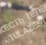 В Новомосковске мужчина поленился обойти грузовой поезд и лишился головы - Myslo.Ru
