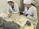 Среднее профессиональное образование в Тульской области: подготовка медицинских кадров