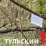 Тульские леса могут пострадать от бабочек - ТК Первый Тульский
