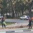 В Туле продолжается уборка улиц и сбор опавшей листвы - Комсомольская Правда