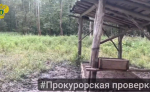 Без соли в кормушках и средств дезинфекции: какие нарушения выявили в охотхозяйстве под Тулой
