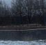 Снимок экрана 2025-10-08 155020.png - Myslo.Ru