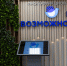 _ZYB4865.jpg - Myslo.Ru